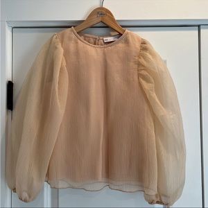 Zara | Blush Blouse